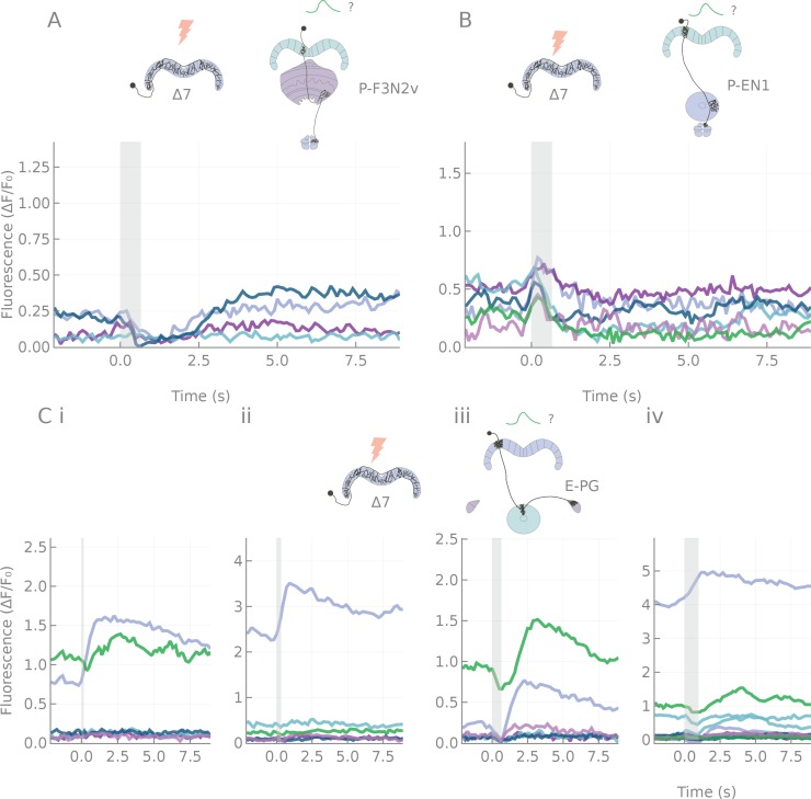 Figure 5—figure supplement 1.