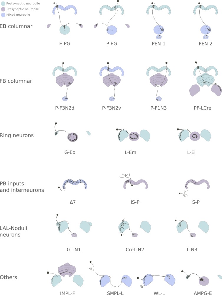 Figure 1—figure supplement 1.