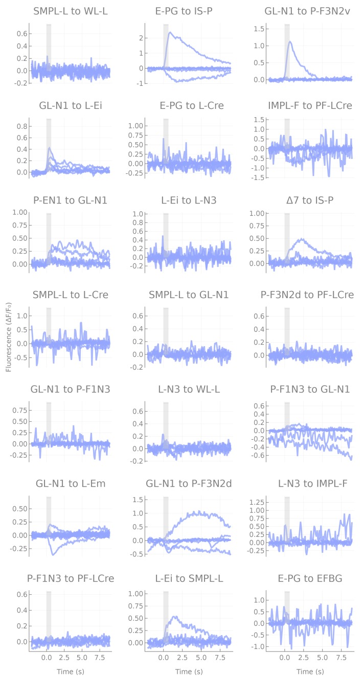 Figure 3—figure supplement 1.