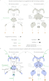 Figure 1—figure supplement 2.