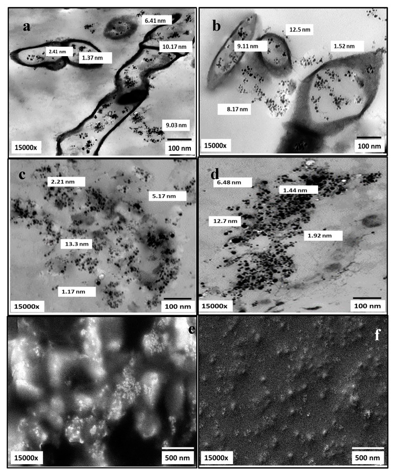 Figure 11