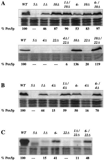 FIG. 5