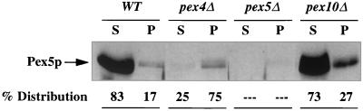 FIG. 10