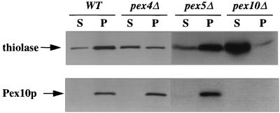 FIG. 9