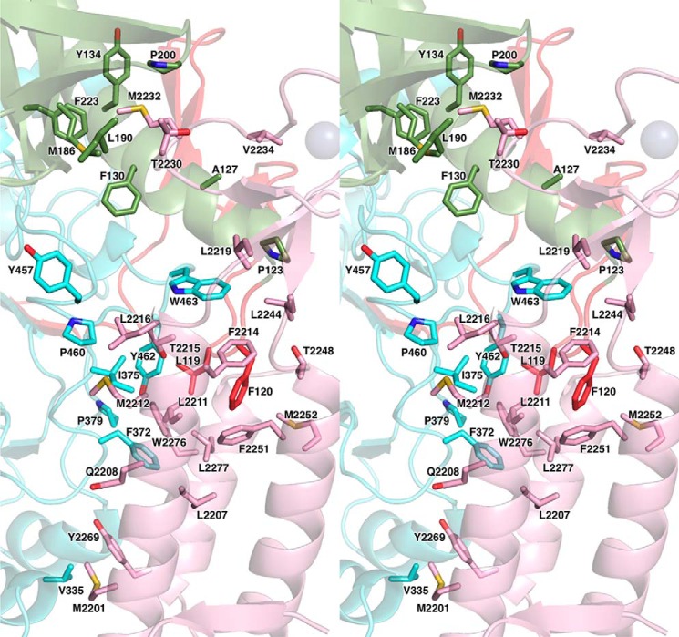 Figure 4.