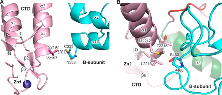 Figure 10.