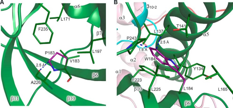 Figure 11.