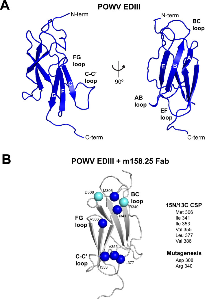 Fig 7