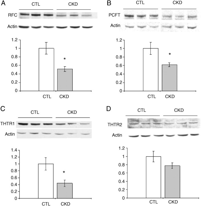 Fig. 4