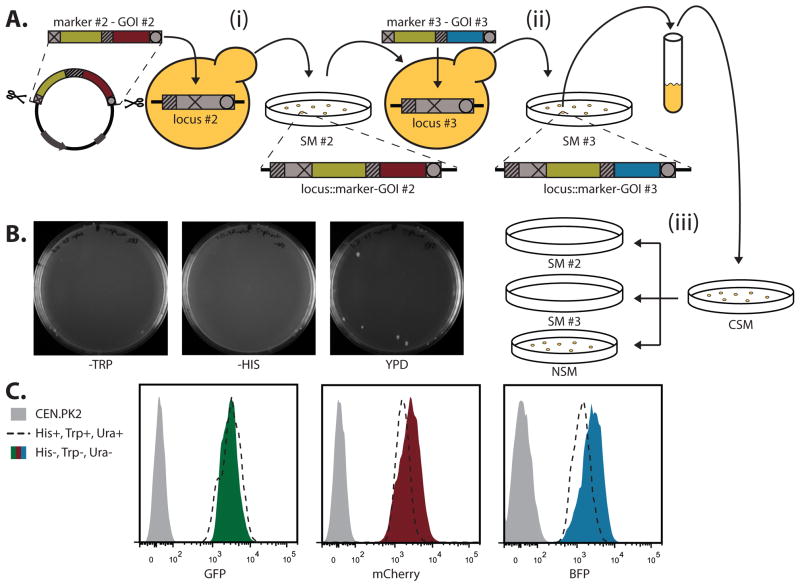 Figure 4