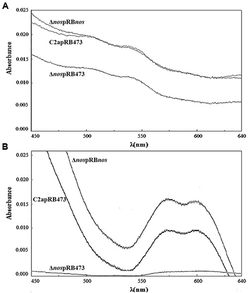 FIGURE 4