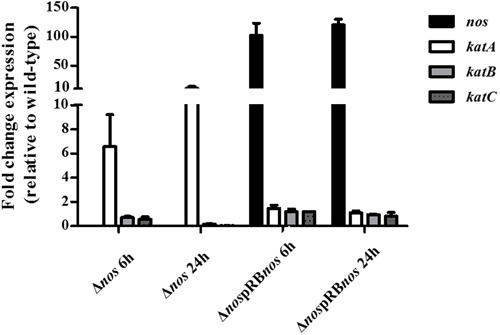 FIGURE 7