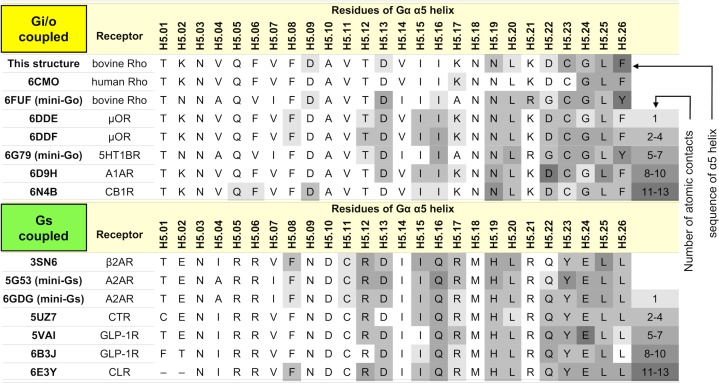 Figure 3—figure supplement 1.