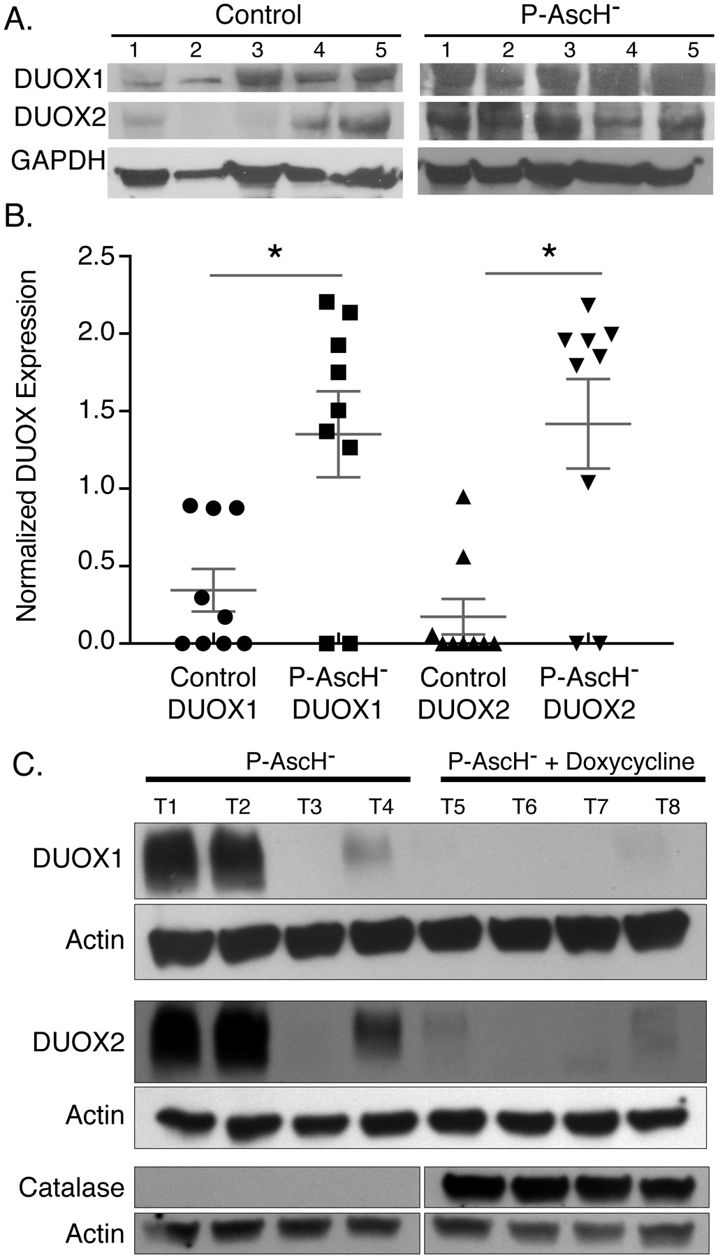 Figure 6.