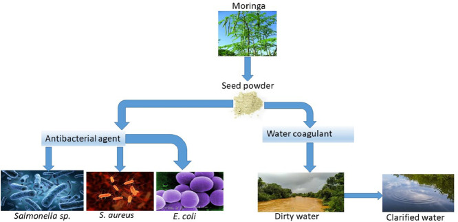 Image, graphical abstract