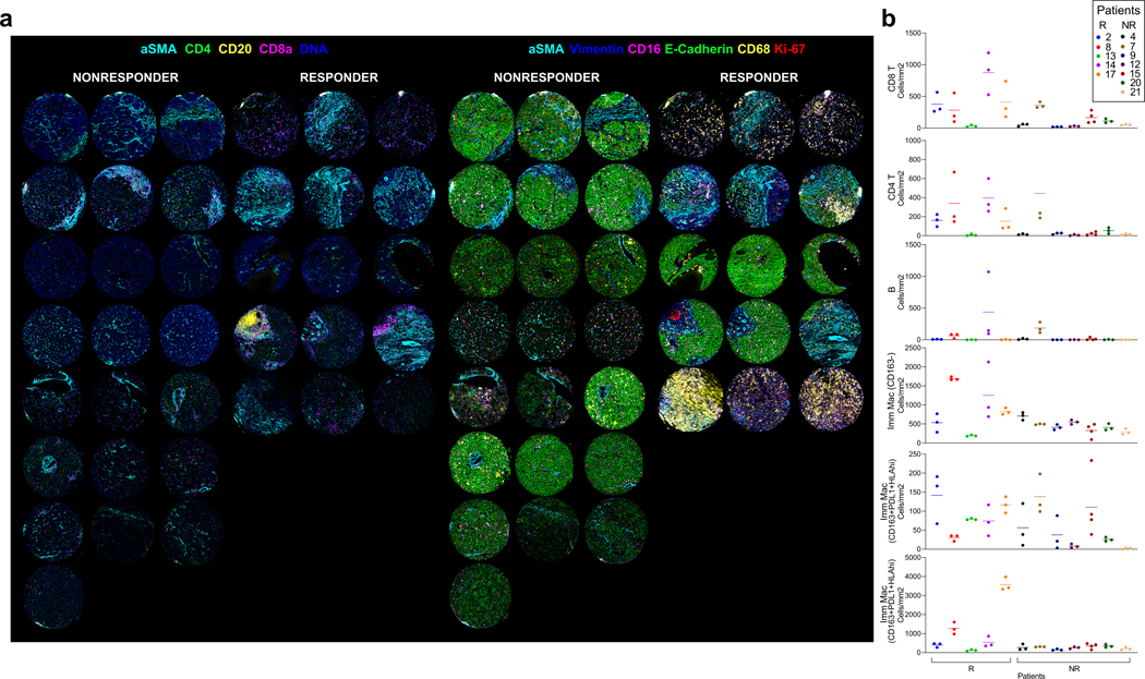 Extended Data Fig. 5