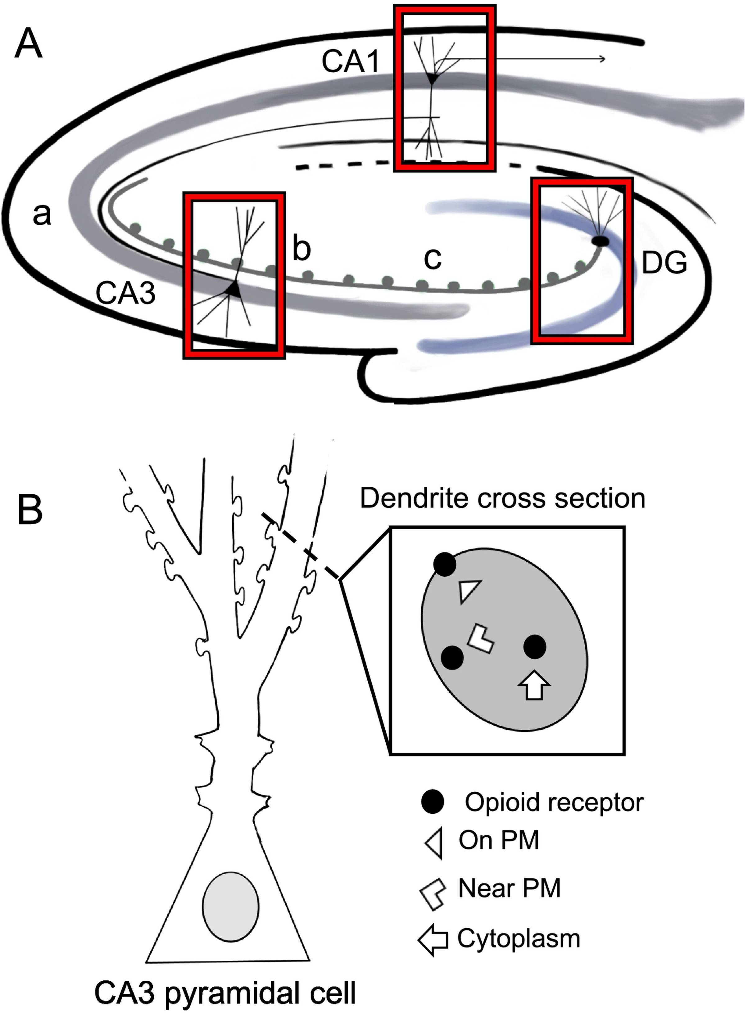 Fig. 2.