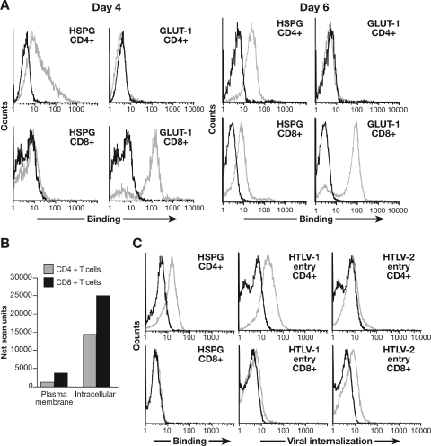 FIG. 7.