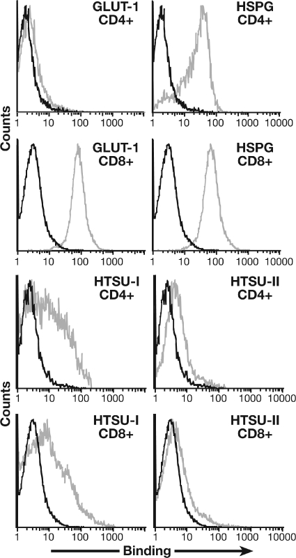 FIG. 8.