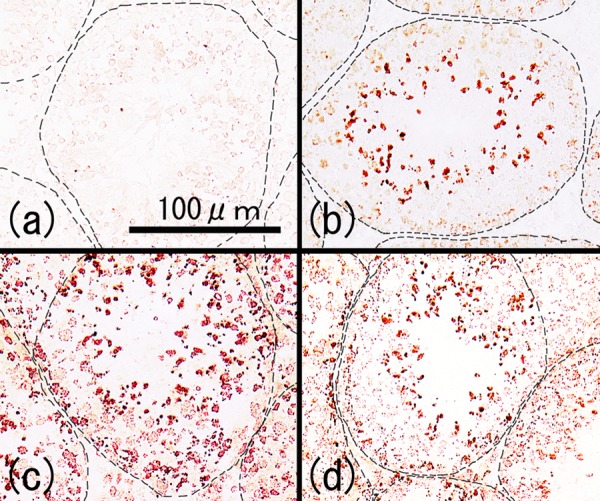 Fig. 5.