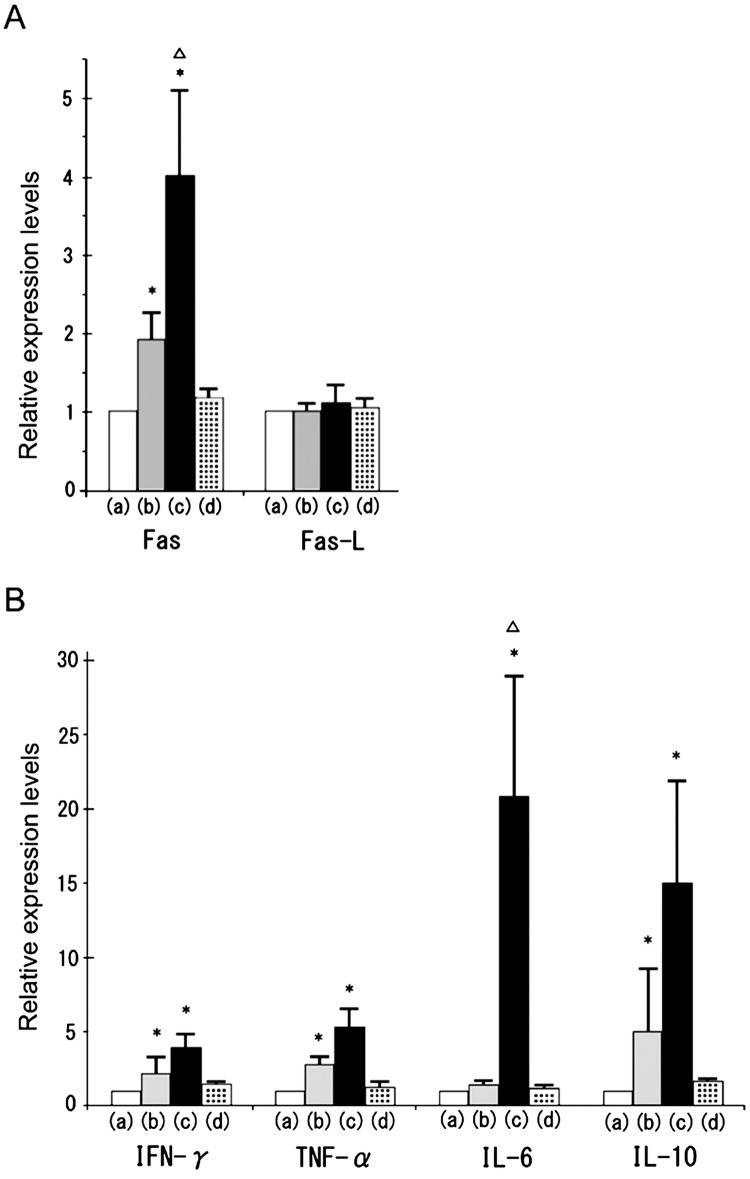 Fig. 3.