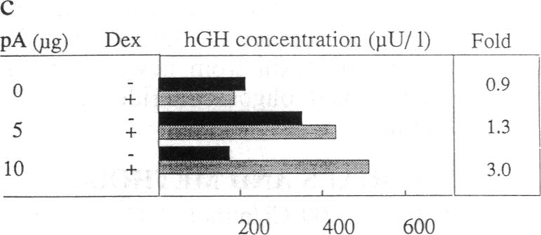 graphic file with name pnas01062-0340-b.jpg