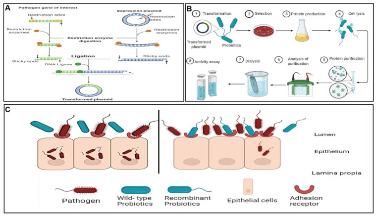 Figure 4