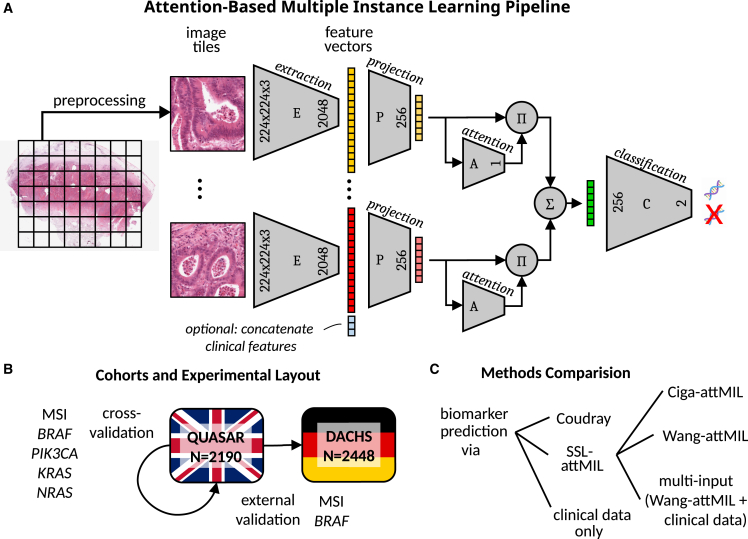 Figure 1