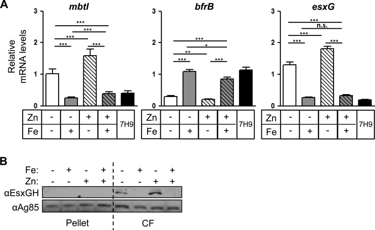 FIG 3