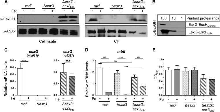 FIG 1