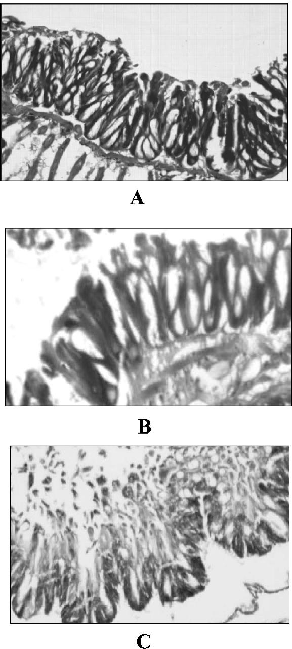 FIG. 10.