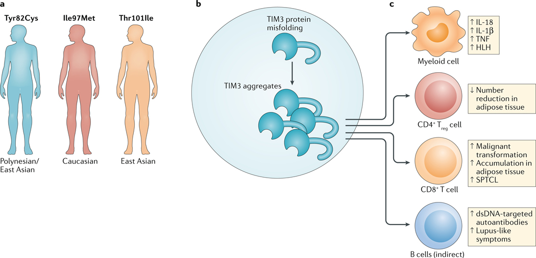 Fig. 3 |