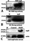 Fig 6.