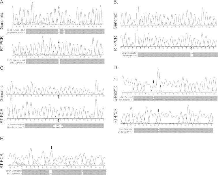 Supplementary Figure 1