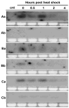 Fig. 5
