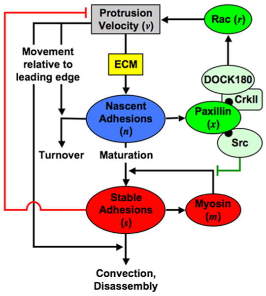 FIGURE 12