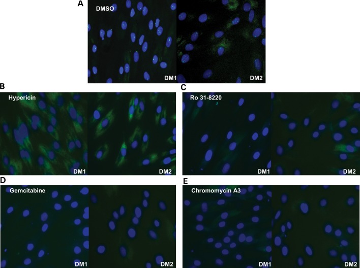 Figure 1.