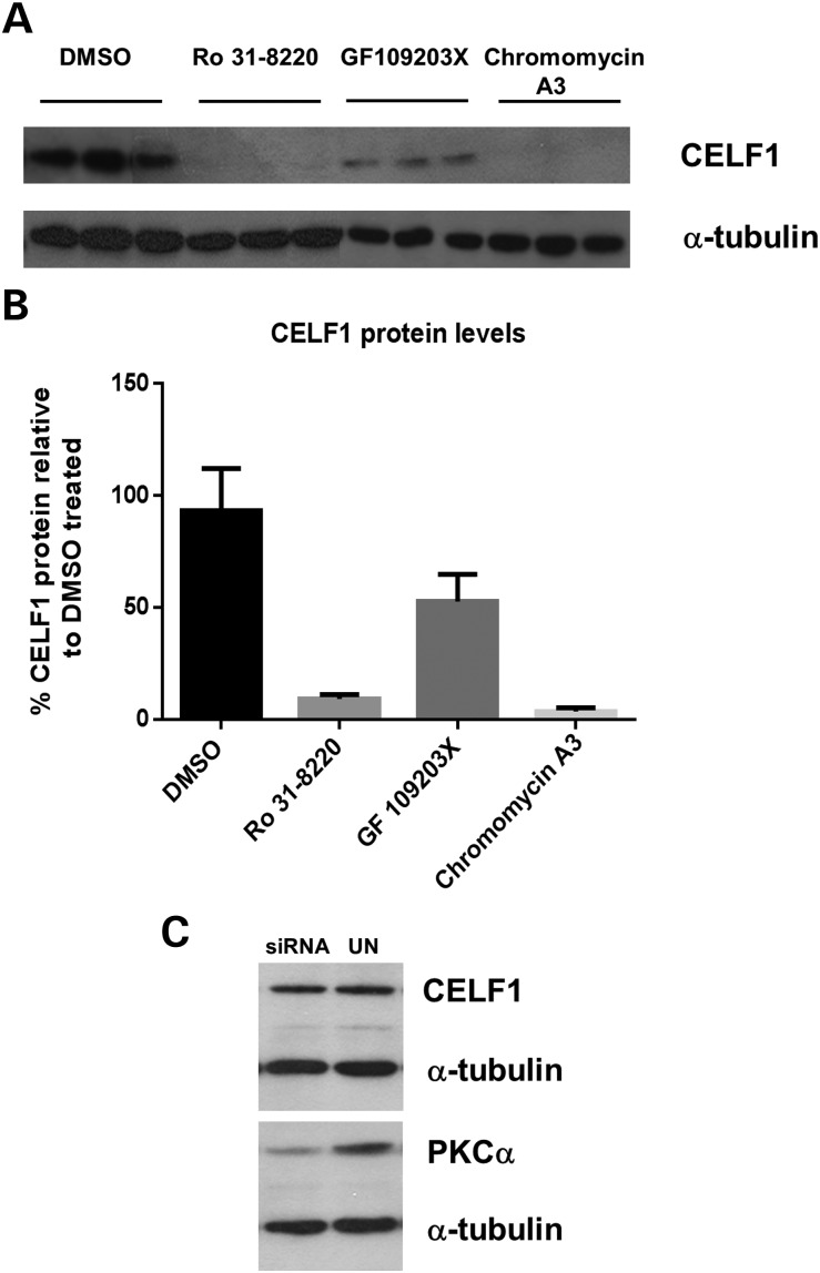 Figure 7.