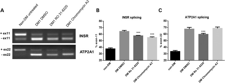 Figure 4.