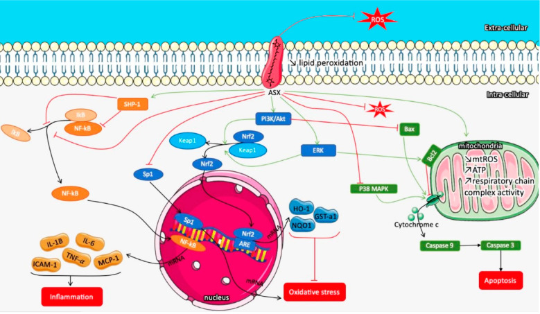 Figure 15