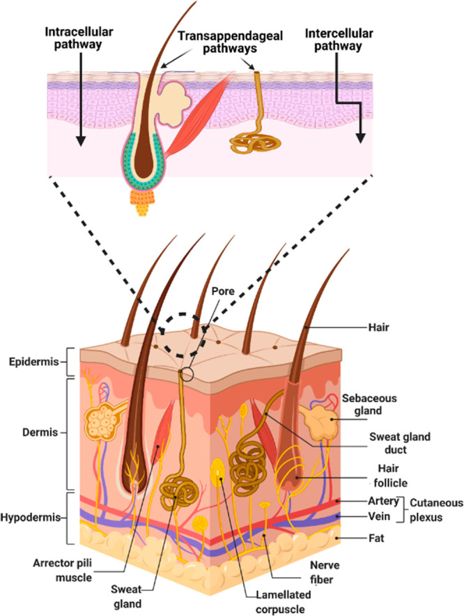 Figure 13