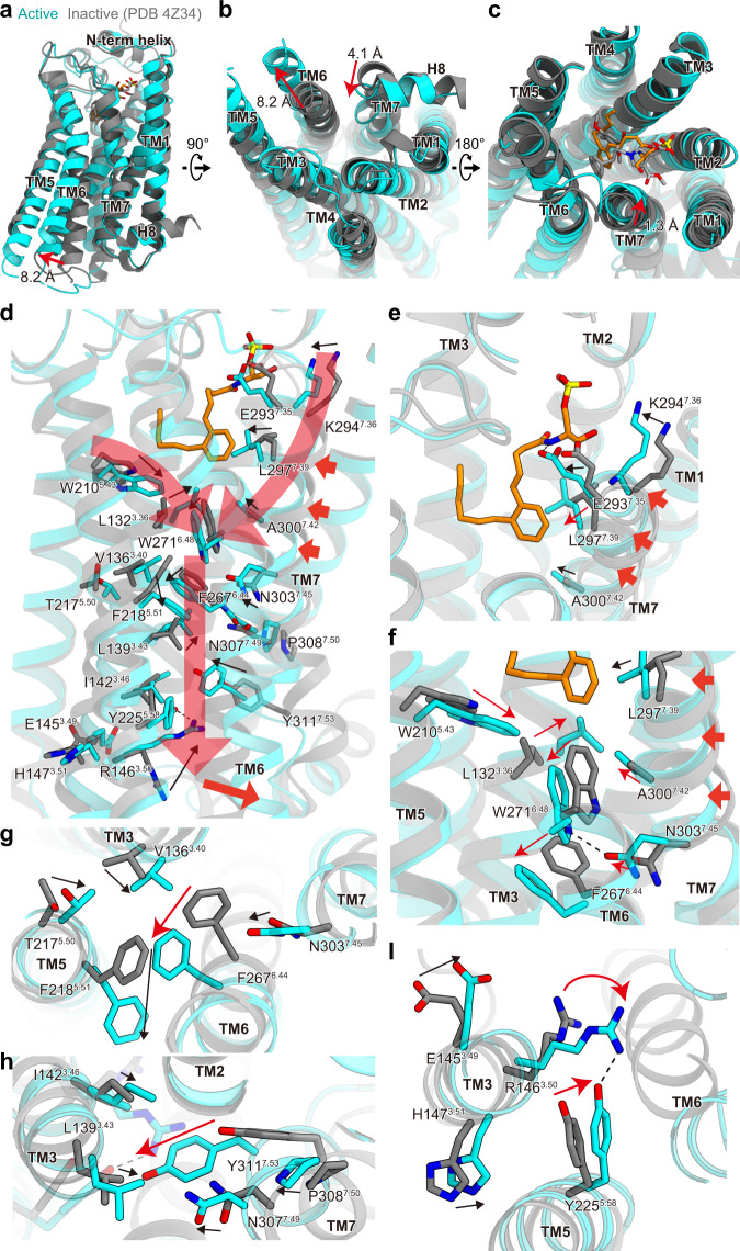 Fig. 4