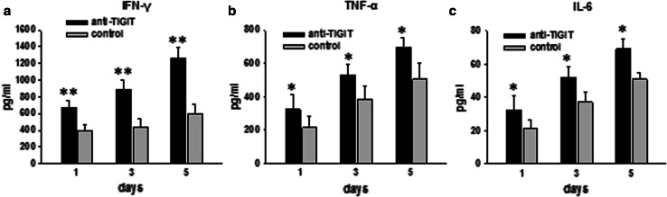 Fig. 5