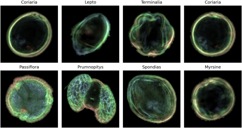 Fig. 2