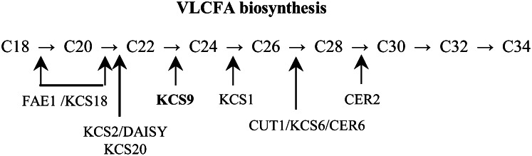 Figure 9.