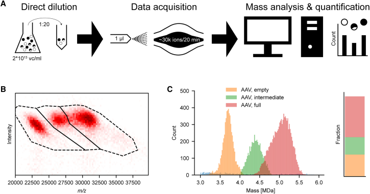 Figure 3