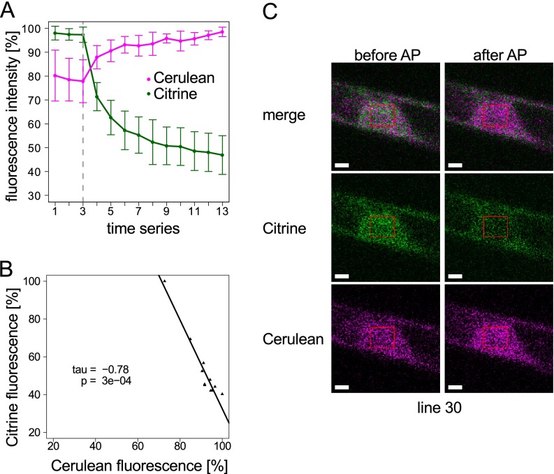 Fig. 4.