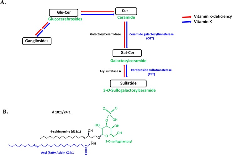 Fig 8