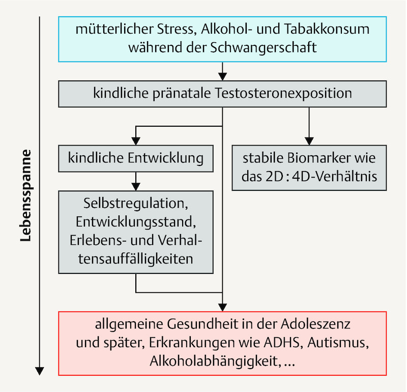 Abb. 1