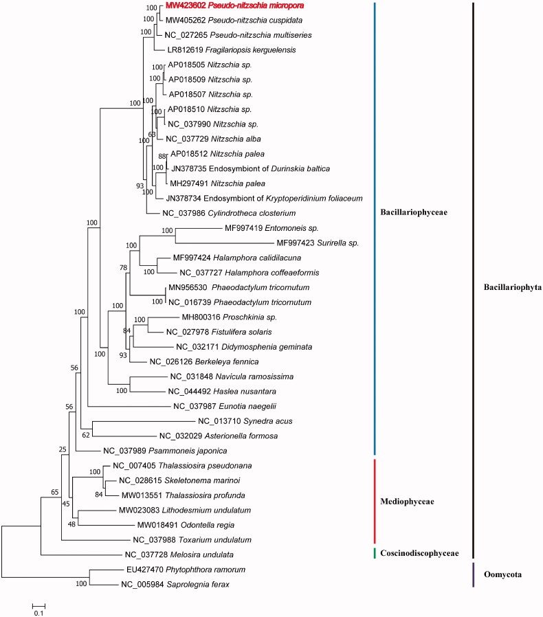 Figure 1.